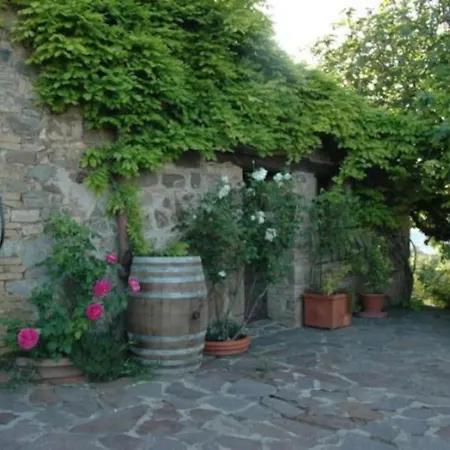 Pian Bossolino Montalcino